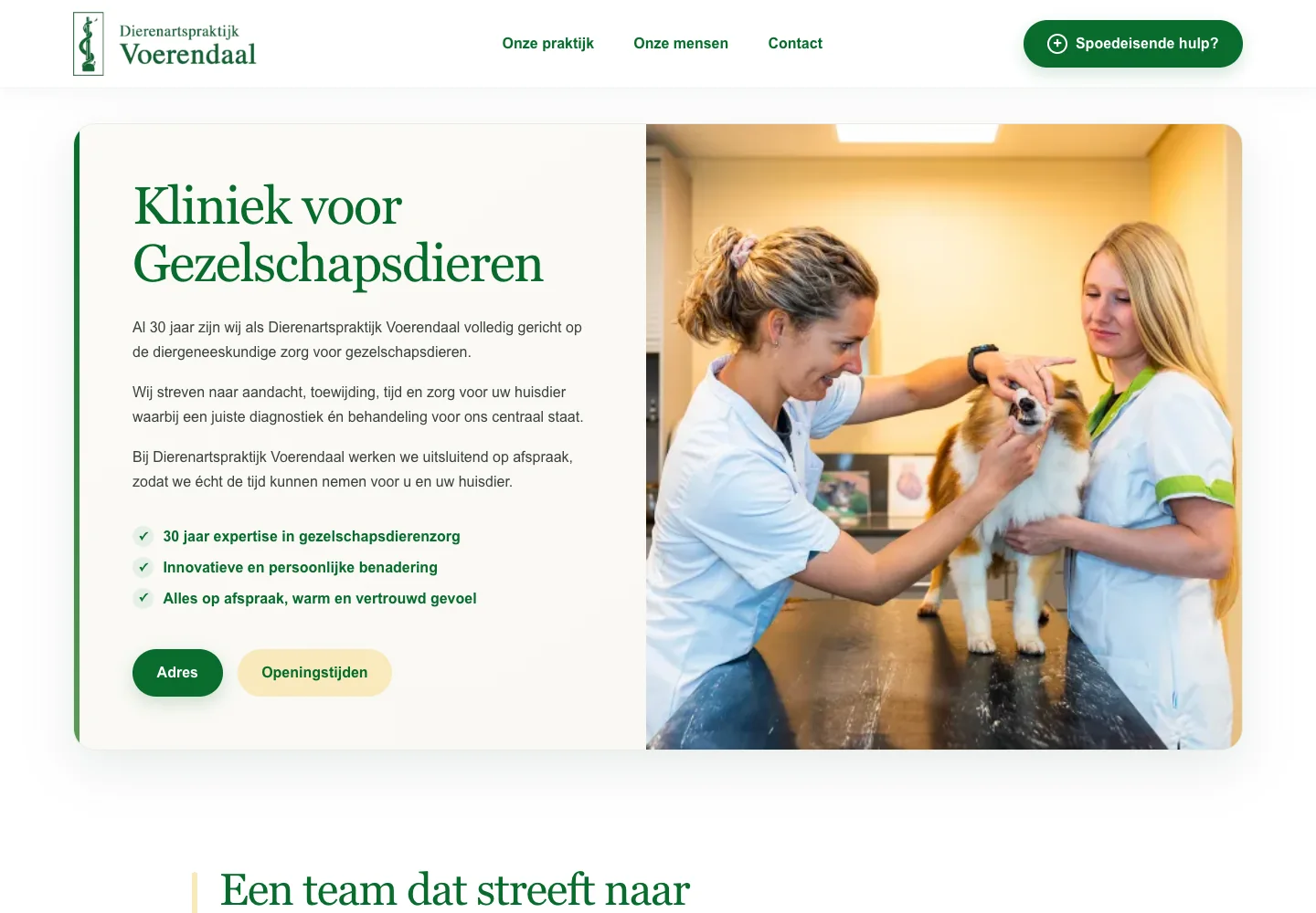 Homepage van Dierenartspraktijk Voerendaal met dierenartsen en een hond